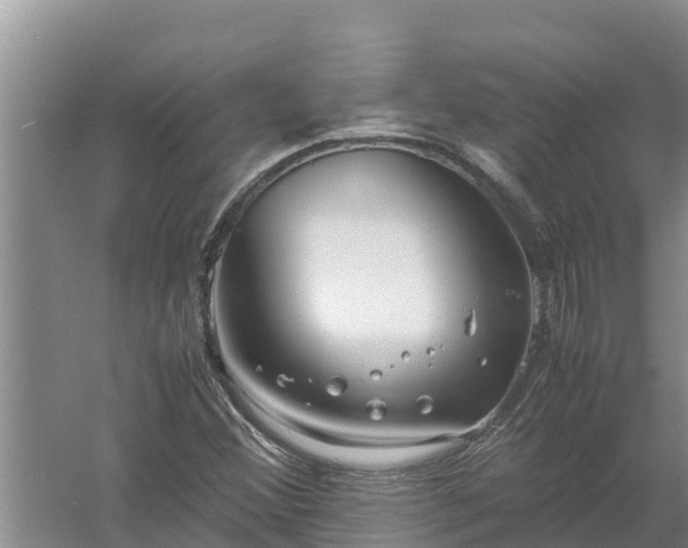 X0000058131356200509301942