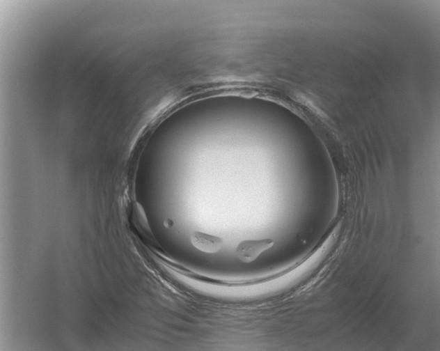 X0000058131357200509301942