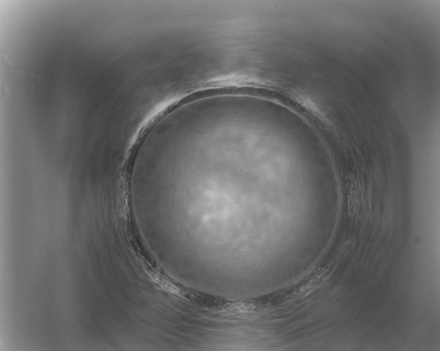 X0000058131358200509301942