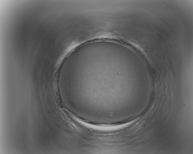 X0000058131359200509301942