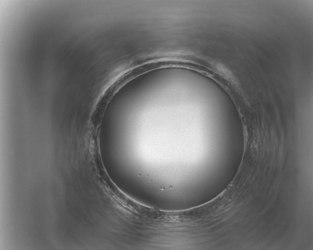 X0000058131360200509301942