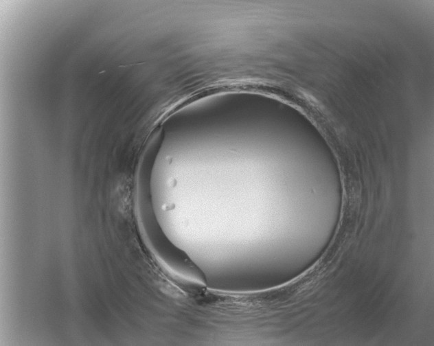 X0000058131361200509301942