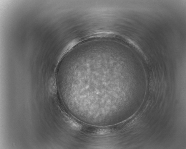 X0000058131362200509301942