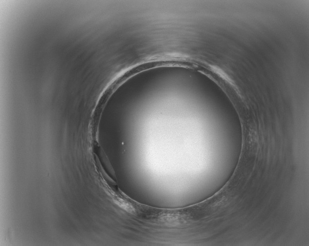 X0000058131364200509301942