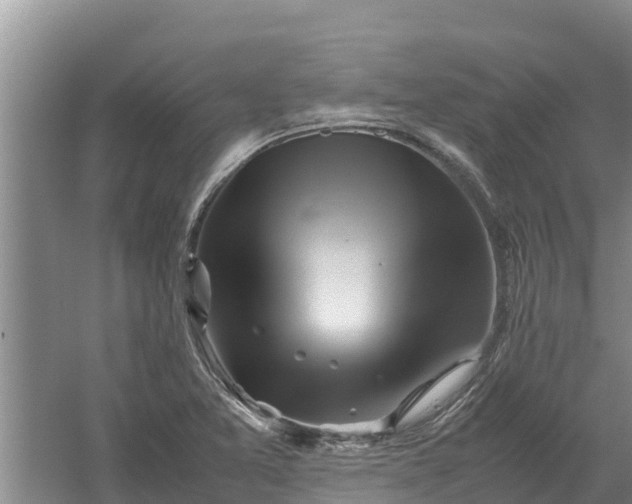 X0000058131365200509301942