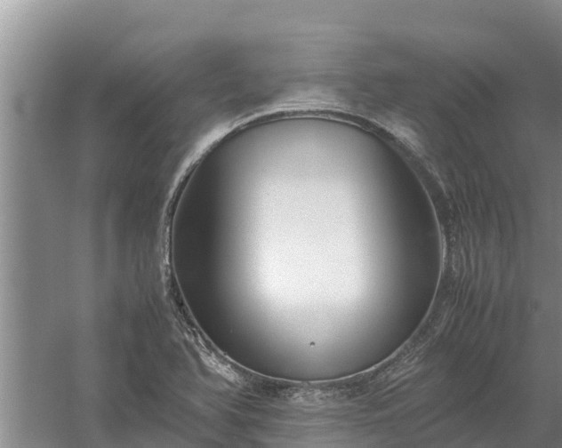 X0000058131366200509301942