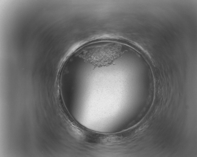 X0000058131367200509301942