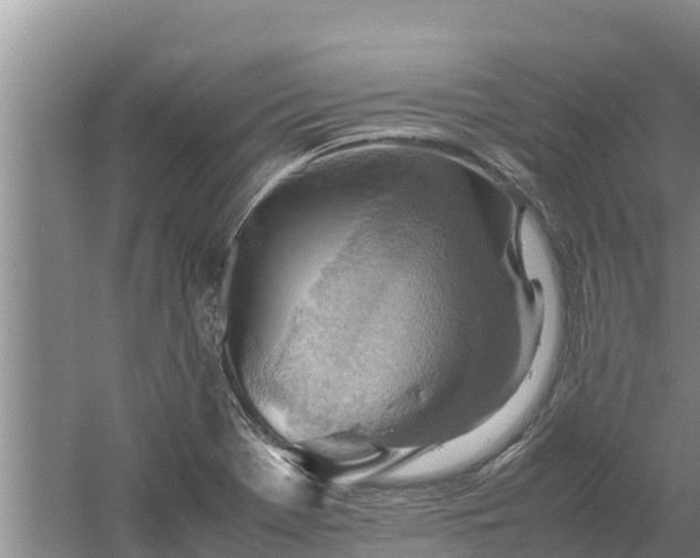 X0000058131369200509301942