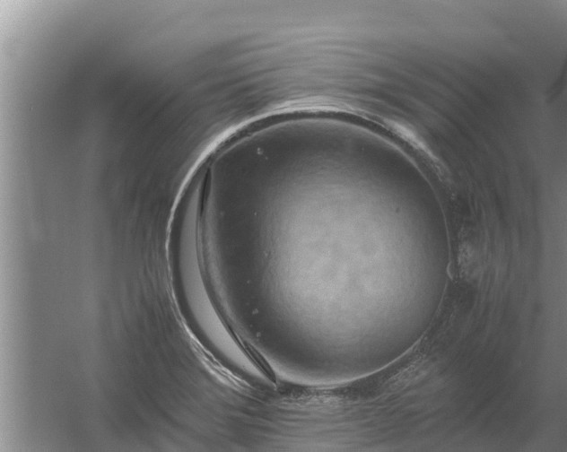 X0000058131372200509301942