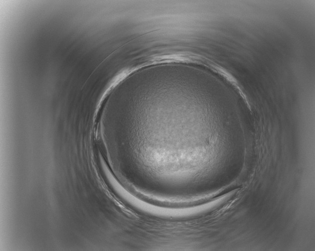 X0000058131373200509301941