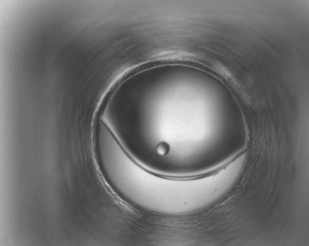 X0000058131376200509301941