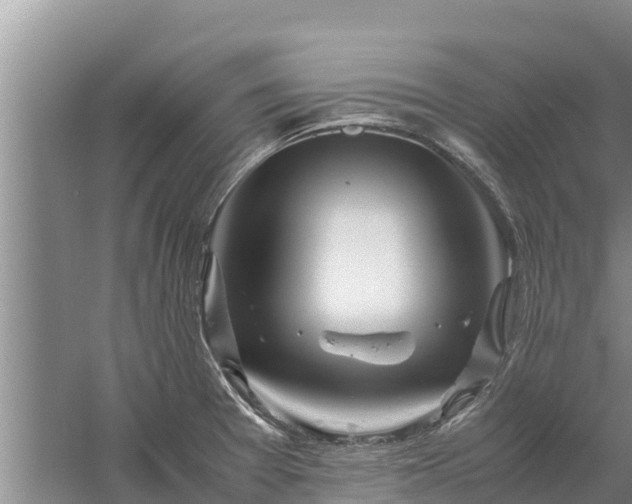 X0000058131377200509301941