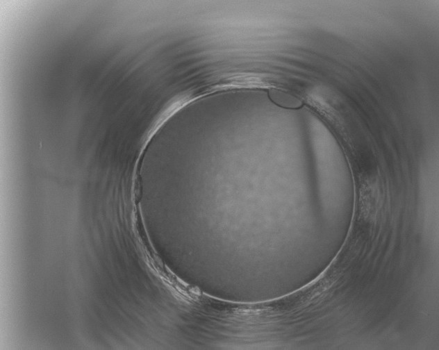 X0000058131378200509301941