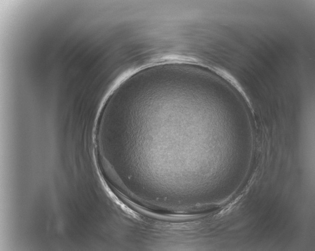 X0000058131381200509301941