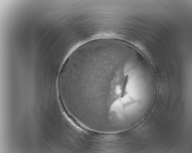 X0000058131382200509301941