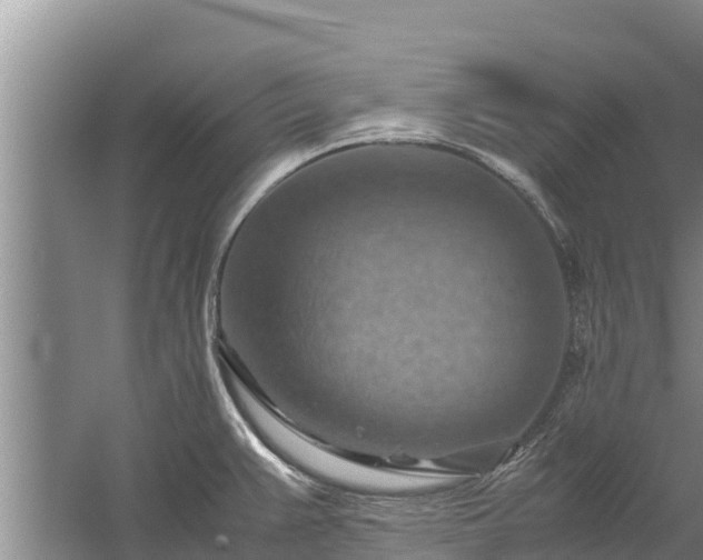 X0000058131383200509301941