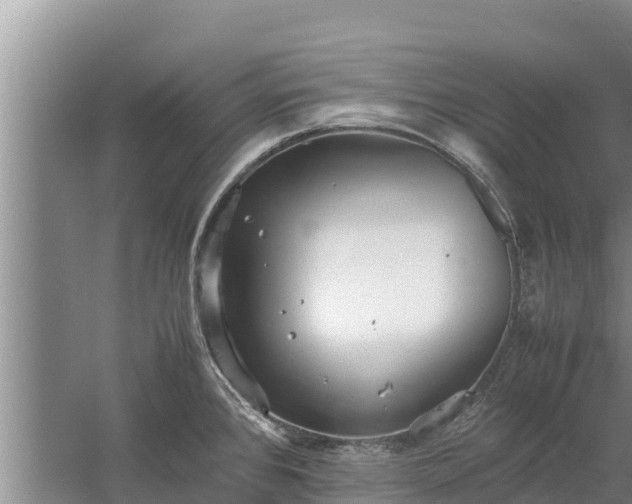 X0000058131384200509301941