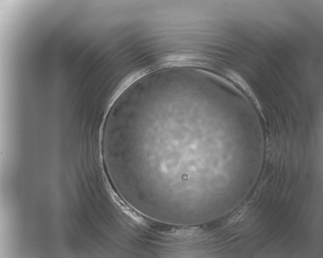 X0000058131386200509301941