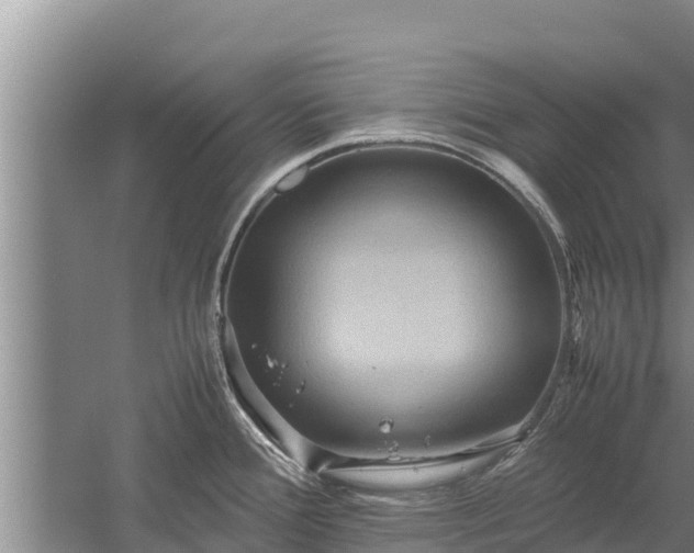 X0000058131388200509301941