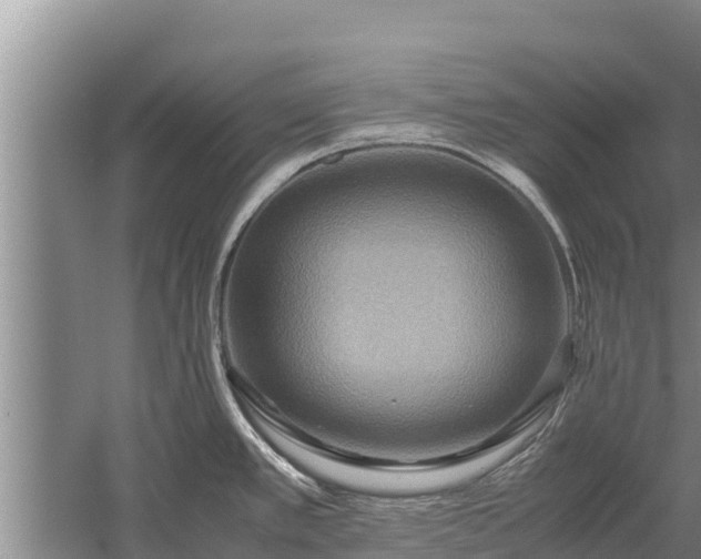 X0000058131389200509301941