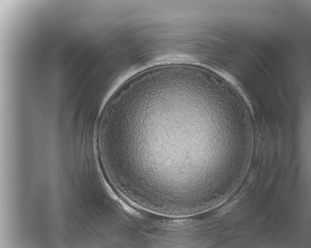 X0000058131390200509301941