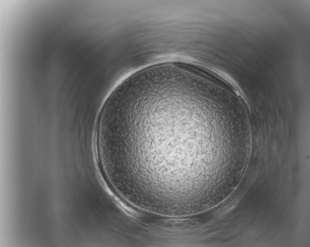 X0000058131391200509301941