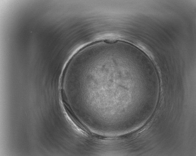 X0000058131392200509301941