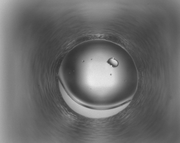 X0000058131394200509301940