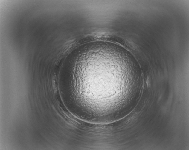 X0000058131396200509301940