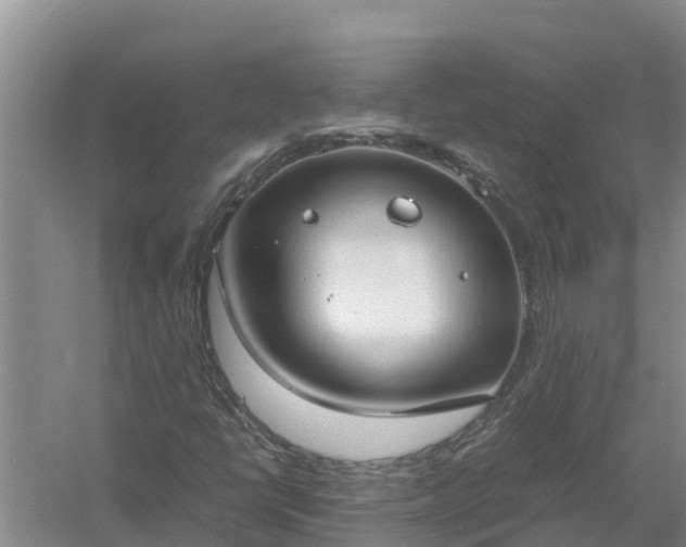 X0000058131398200509301940