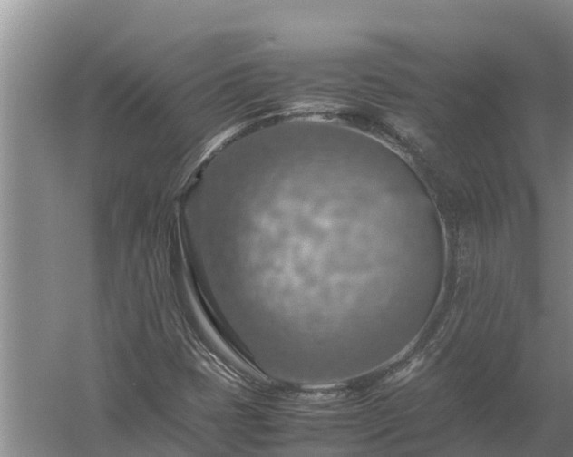 X0000058131401200509301940