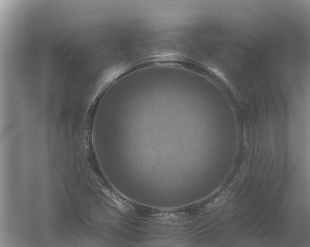 X0000058131405200509301941