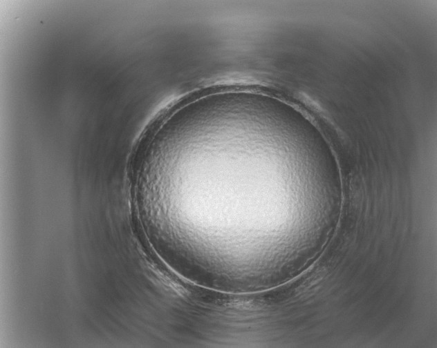 X0000058131408200509301941