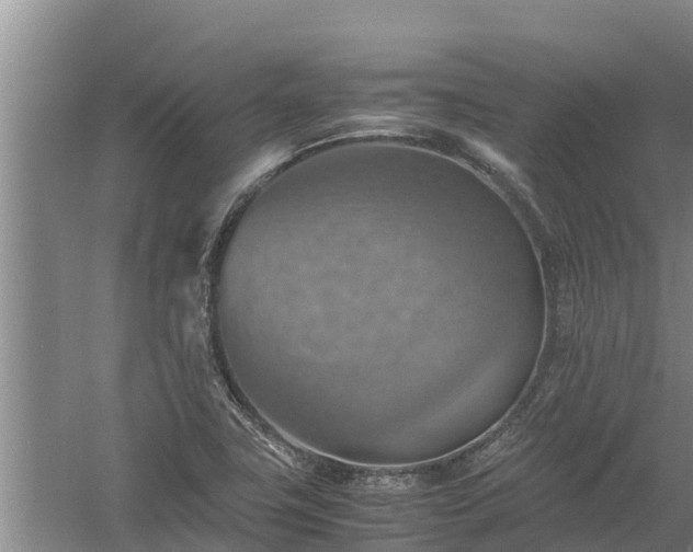 X0000058131411200509301941