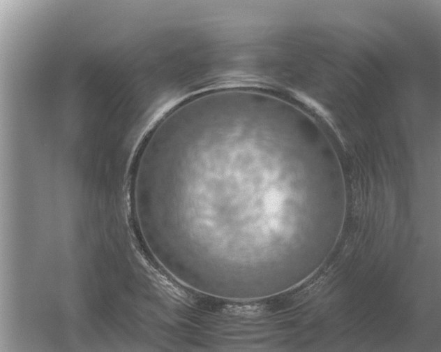 X0000058131415200509301941