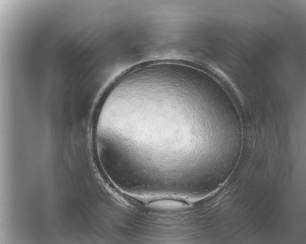 X0000058131416200509301941