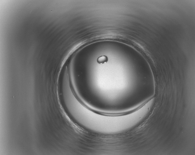 X0000058131418200509301941