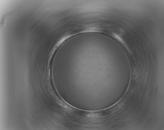 X0000058131419200509301941