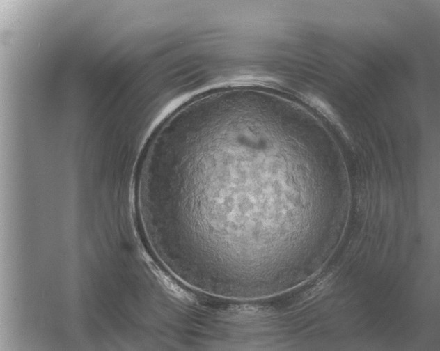 X0000058131420200509301941