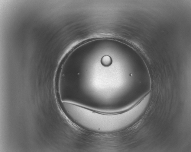 X0000058131422200509301941