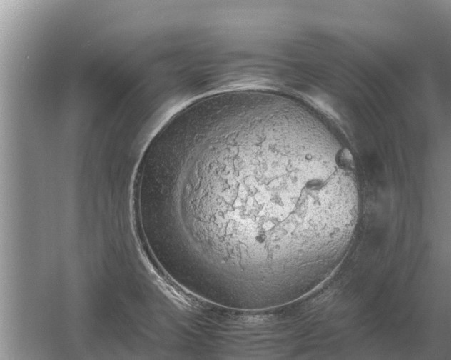 X0000058131423200509301941