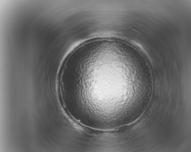 X0000058131424200509301941