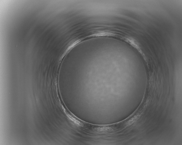 X0000058131425200509301941