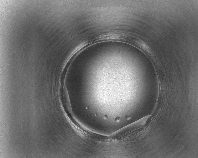 X0000058131426200509301941