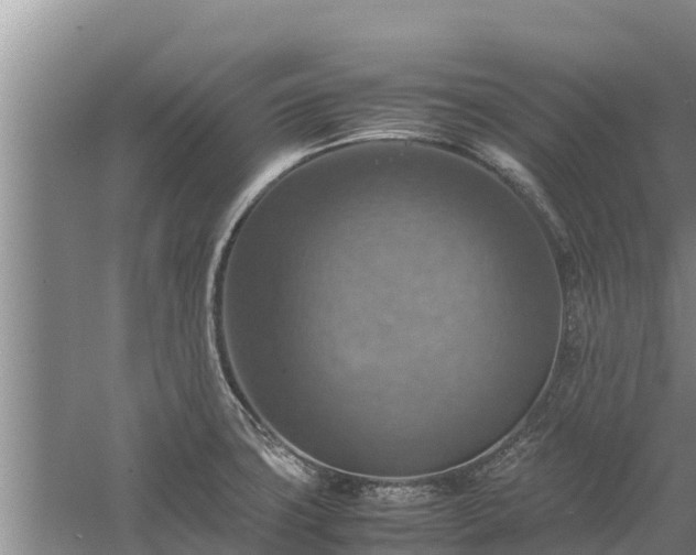 X0000058131427200509301941