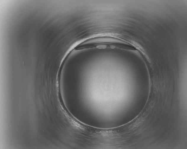 X0000058131428200509301941