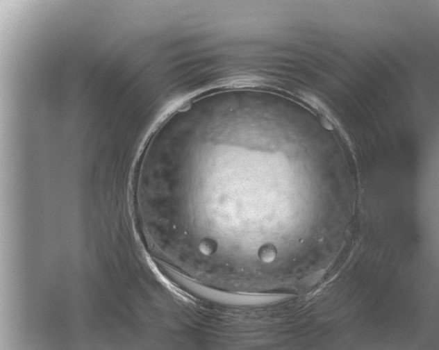 X0000058131429200509301941