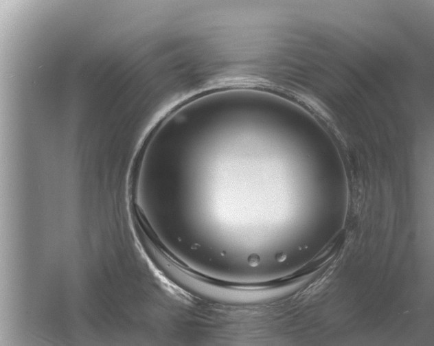 X0000058131430200509301941