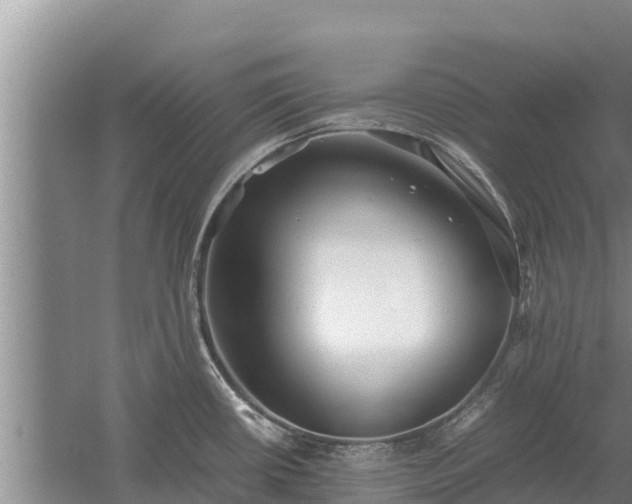 X0000058131434200509301941