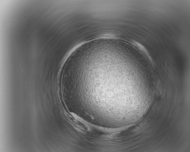 X0000058131435200509301941